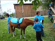 voltitag 2009 _CD2 111